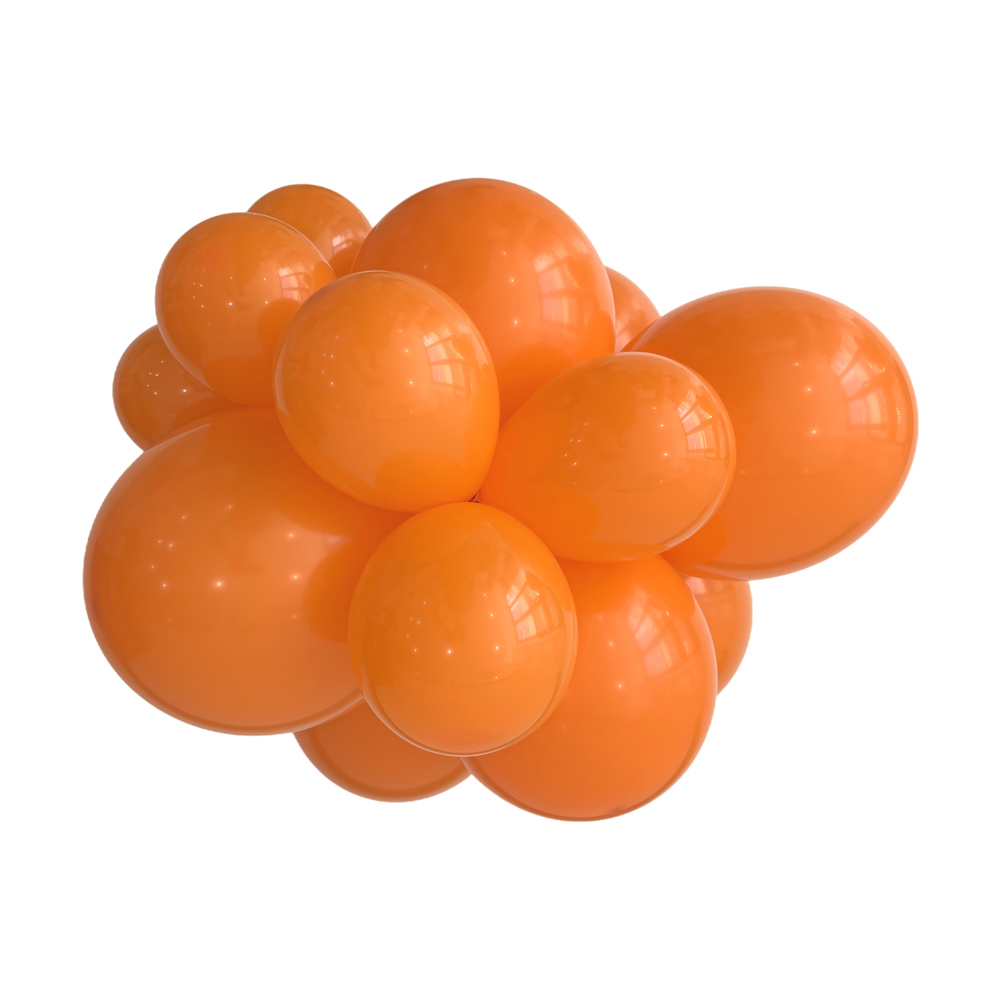 12" 262 orange - Image 2